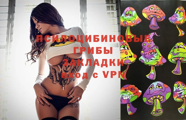 мяу мяу мука Алексеевка